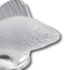 Close up of the Fish Head