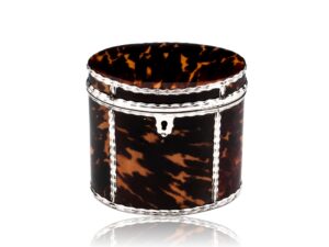 Overview of the Georgian Tortoiseshell Tea Caddy