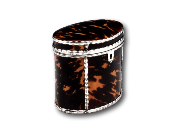 Side of the Georgian Tortoiseshell Tea Caddy