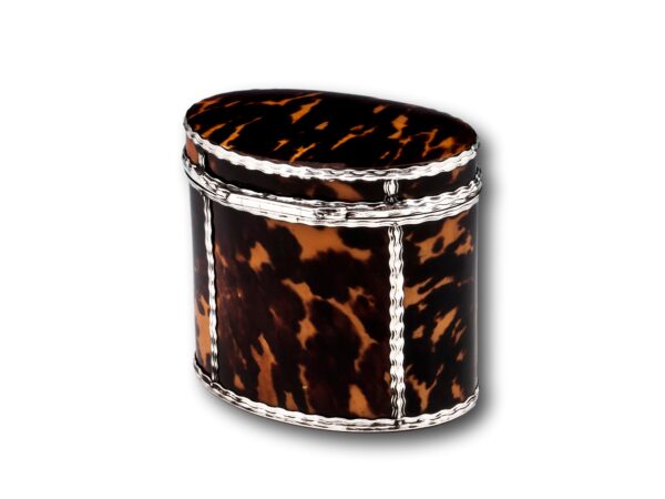 Rear of the Georgian Tortoiseshell Tea Caddy