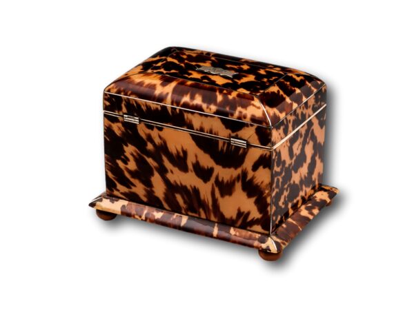 Rear of the Tortoiseshell Tea Caddy