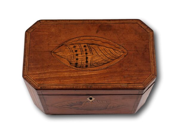 Lid of the Tea Caddy