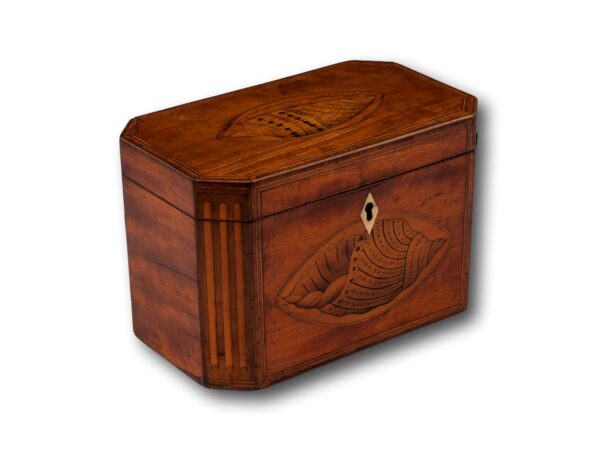 Overview of the Tea Caddy