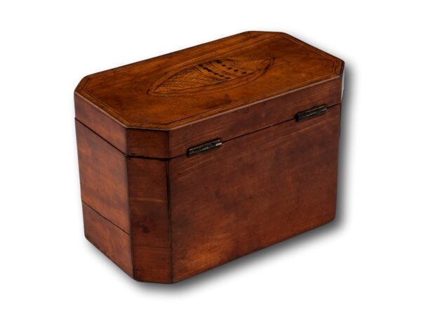 Overview of the rear of the Tea Caddy