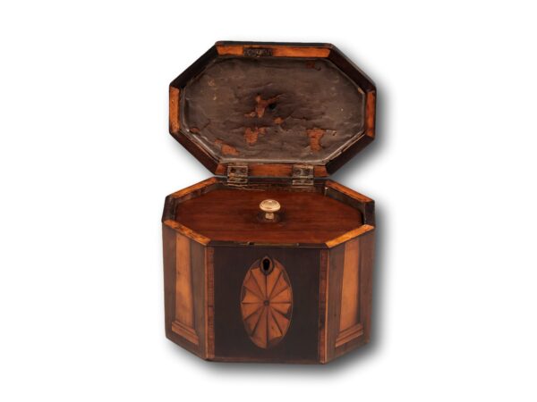 Georgian Harewood Tea Caddy with the lid up