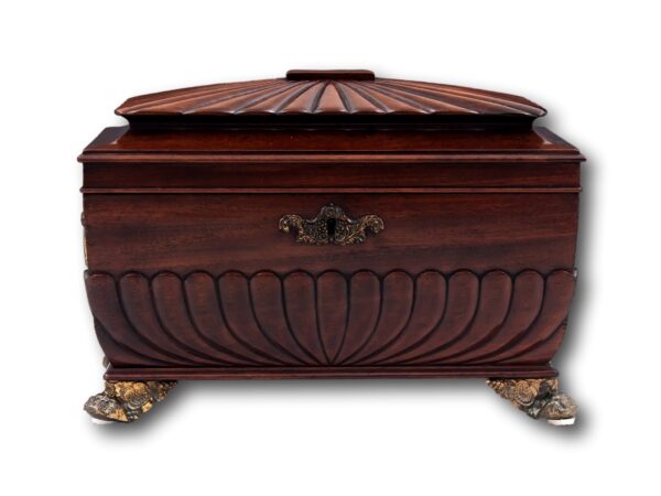 Front profile of the Cuban Mahogany Tea Chest