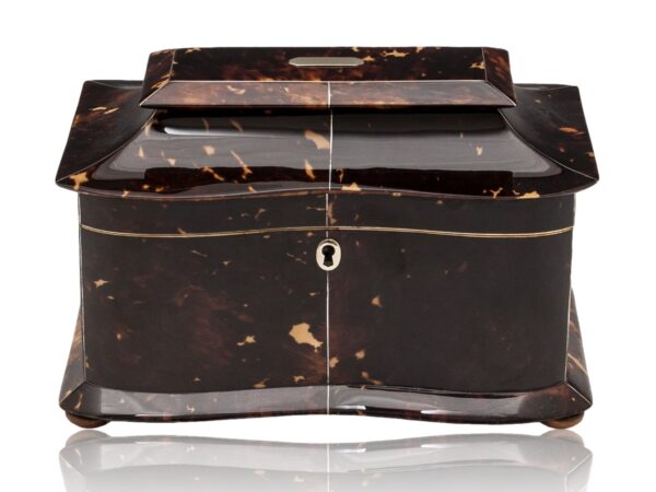 Overview of the Georgian Serpentine Tortoiseshell Tea Caddy