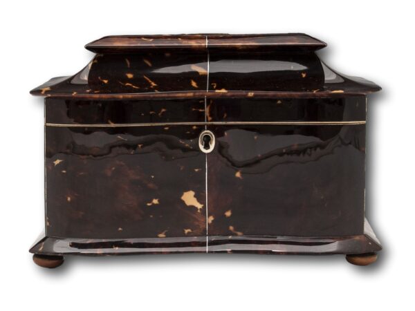 Front of the Georgian Serpentine Tortoiseshell Tea Caddy