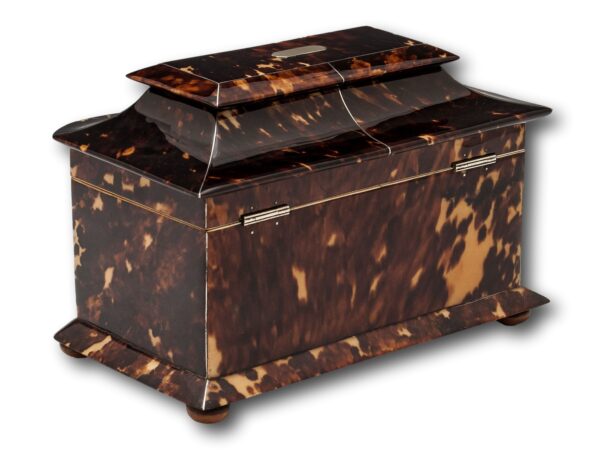 Rear Overview of the Georgian Serpentine Tortoiseshell Tea Caddy