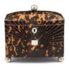 starburst tortoiseshell tea caddy