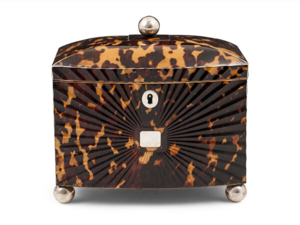 starburst tortoiseshell tea caddy