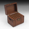 Antique Trunk Cigar Box - Image 7