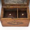 Georgian Satinwood Shell inlaid Tea Caddy - Image 9