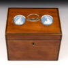 Antique Cameo Tea Chest - Image 10