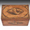 Georgian Satinwood Shell inlaid Tea Caddy - Image 4