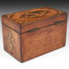 Georgian Satinwood Shell inlaid Tea Caddy - Image 6