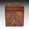 Georgian Satinwood Shell inlaid Tea Caddy - Image 7