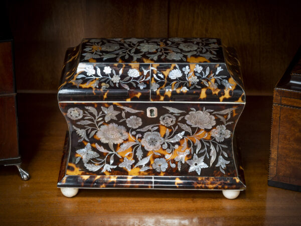 tortoiseshell and mother of pearl tea caddy on shelf