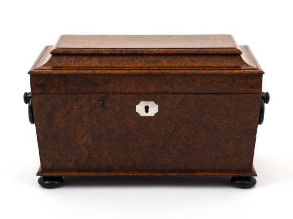 amboyna tea chest front view