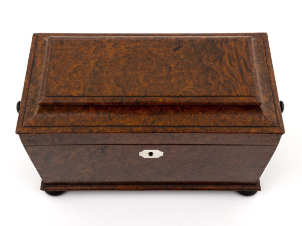 amboyna tea chest top angle