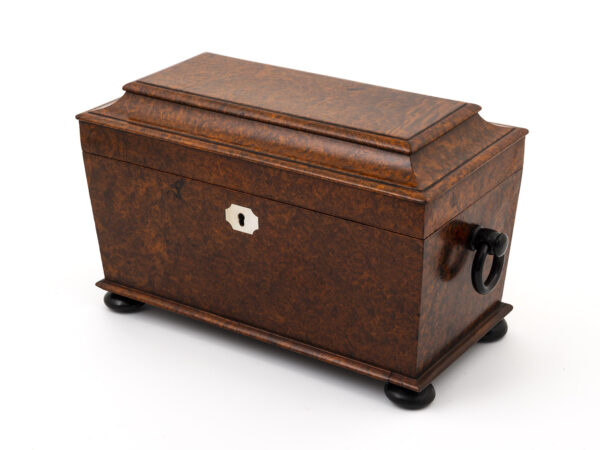 amboyna tea chest front angle