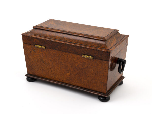 amboyna tea chest back angle