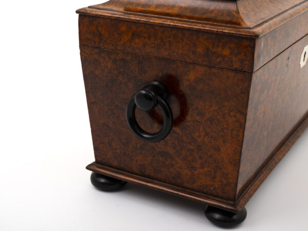 amboyna tea chest side handle