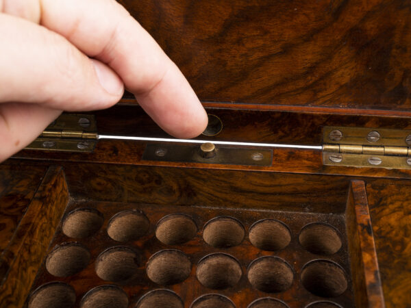 Walnut Humidor button close up