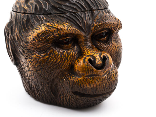Black Forest Gorilla Head face close up