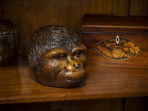 Black Forest Gorilla Head in a cabinet