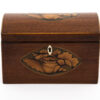 Conch Shell Tea Caddy main image