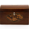 Conch Shell Tea Caddy eye level