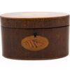 oval conch shell tea caddy eye level