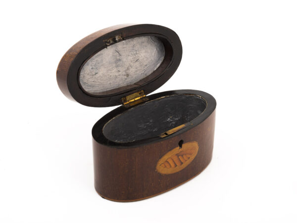 oval tea caddy open side angle