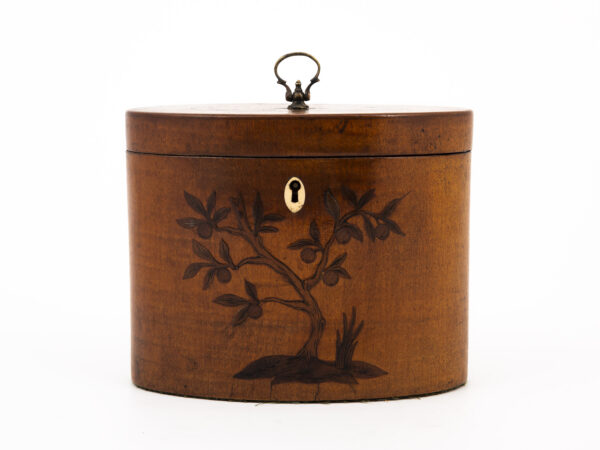 Satin Harewood Tea Caddy on a white background eye level