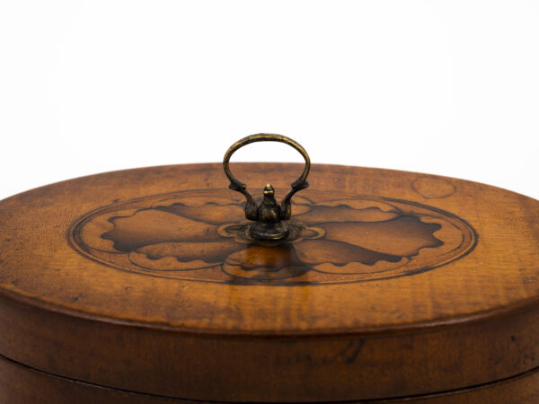 Satin Harewood Tea Caddy on a white background handle close up