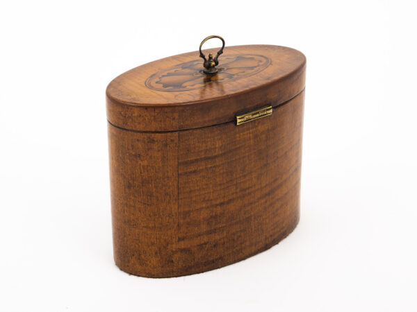 Satin Harewood Tea Caddy on a white background rear angle