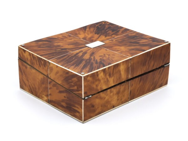 Vibrant Blonde Tortoiseshell writing box