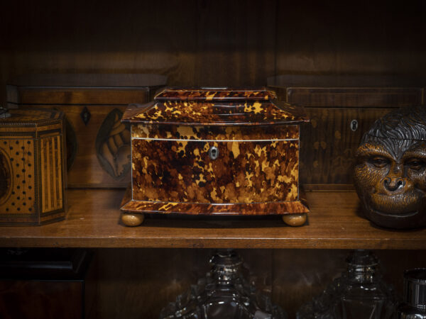 Bow front tortoiseshell tea caddy