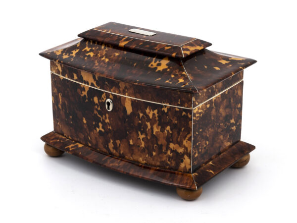 Tortoiseshell tea caddy angle view