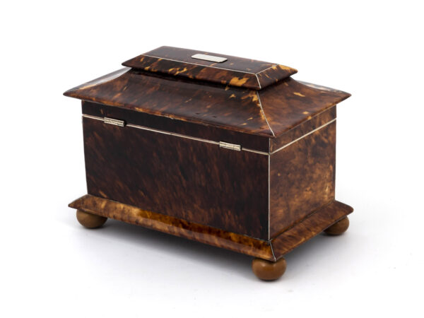 tortoiseshell tea caddy rear