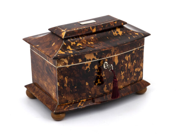 tortoiseshell caddy with key