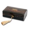 view of the box with the key inserted