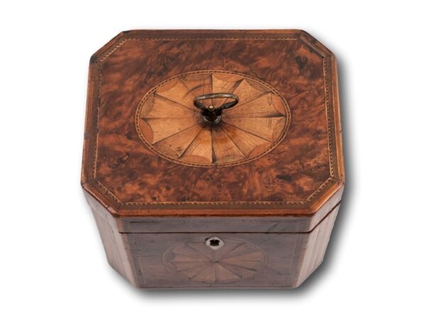 Top of the Georgian Burr Yew Tea Caddy