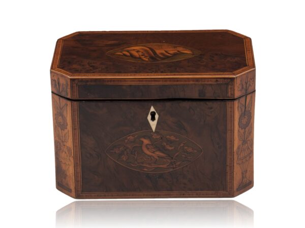 Overview of the Georgian Burr Yew Tea Caddy