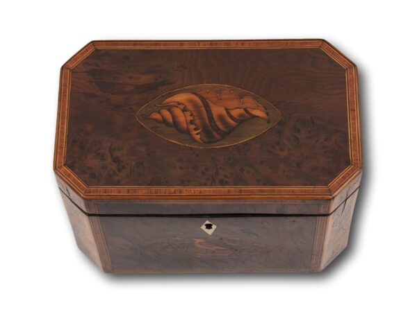 Top of the Georgian Burr Yew Tea Caddy