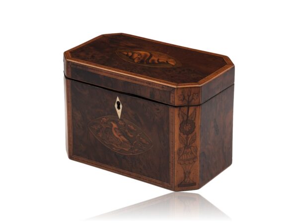 Front Overview of the Georgian Burr Yew Tea Caddy