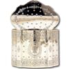 Showing the lid up and the decoration to the rear