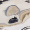 Close up of the hallmarks