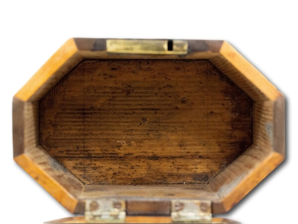 Close up of the interior tea compartment